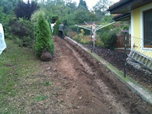 Hecke entfernen